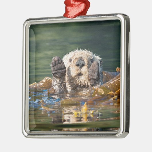 Waving Zee Otter Metalen Ornament (Links)