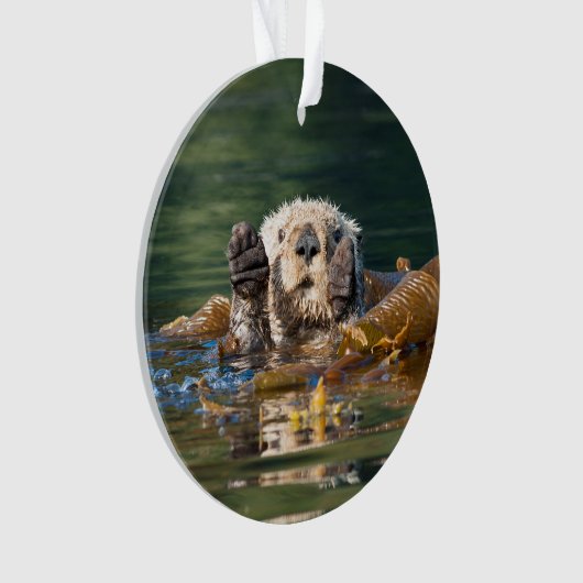 Waving Zee Otter Ornament (voorkant)