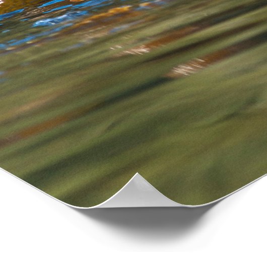 Waving Zee Otter Poster (Hoek)