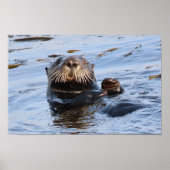 Waving Zee Otter Poster (Voorkant)