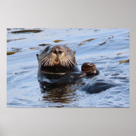 Waving Zee Otter Poster