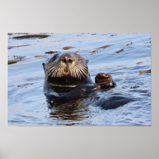 Waving Zee Otter Poster