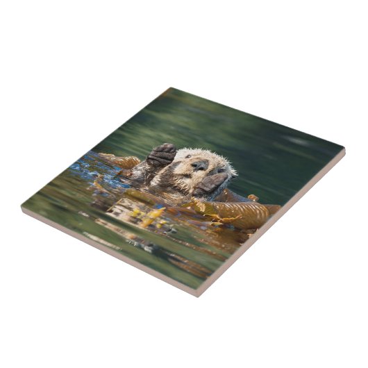 Waving Zee Otter Tegeltje (Zijkant)
