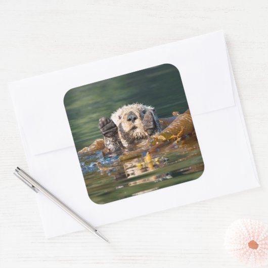 Waving Zee Otter Vierkante Sticker (Envelop)