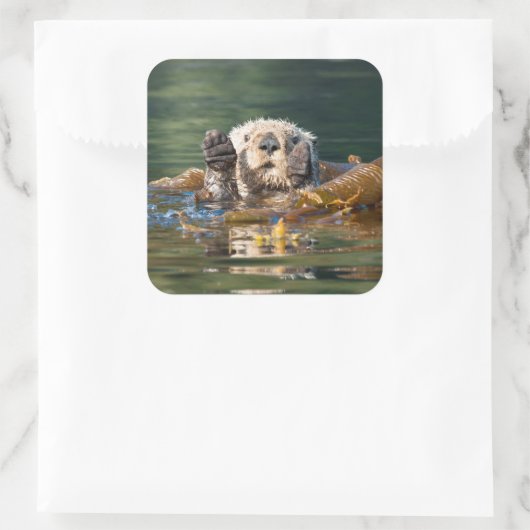 Waving Zee Otter Vierkante Sticker (Tas)