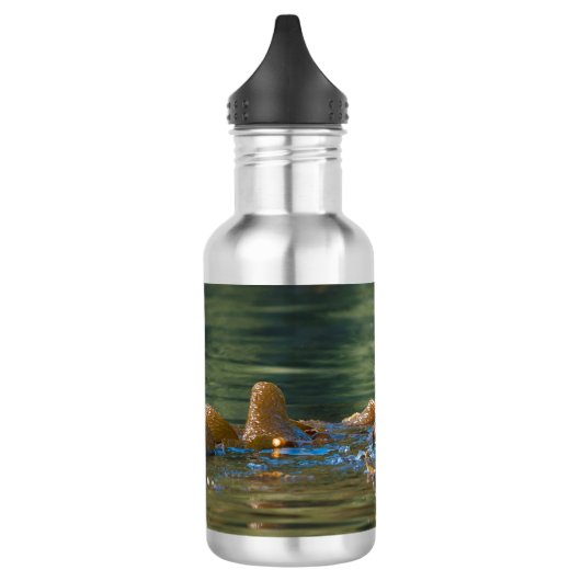 Waving Zee Otter Waterfles (Links)