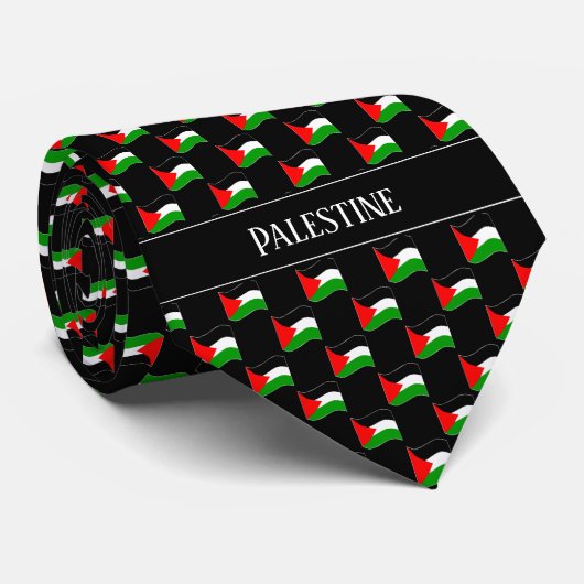 Wavy Palestina Vlag Patroon Stropdas (Opgerold)