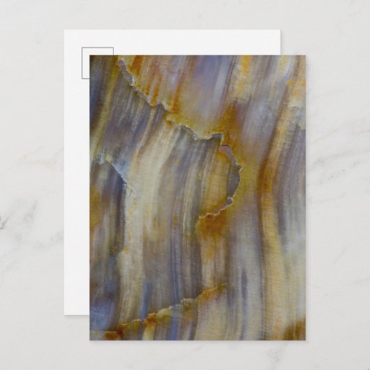 Wavy Petrified Wood Briefkaart (Voorkant / Achterkant)