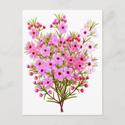Wax Flower Bouquet Briefkaart (Voorkant)