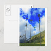 Wax palms Cocora vallei Colombia Briefkaart (Voorkant / Achterkant)