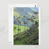 Wax palms Cocora vallei Colombia Briefkaart (Voorkant / Achterkant)