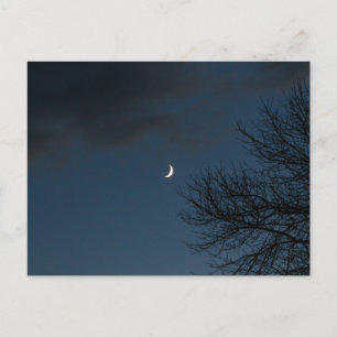 Waxcrescent Moon in Sagittarius Briefkaart