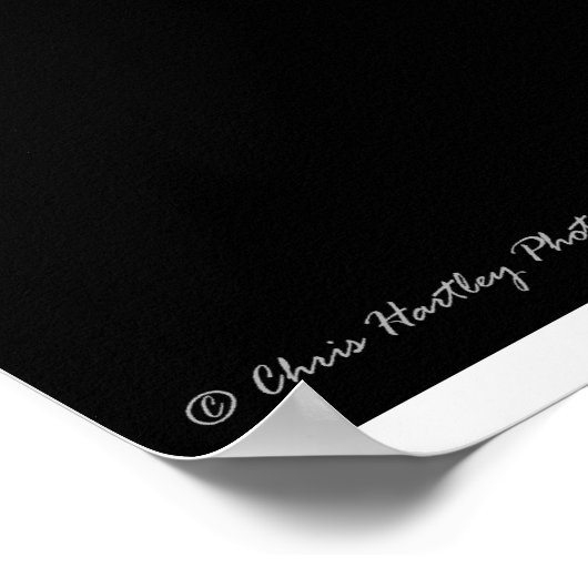 Waxcrescent Moon Poster (Hoek)