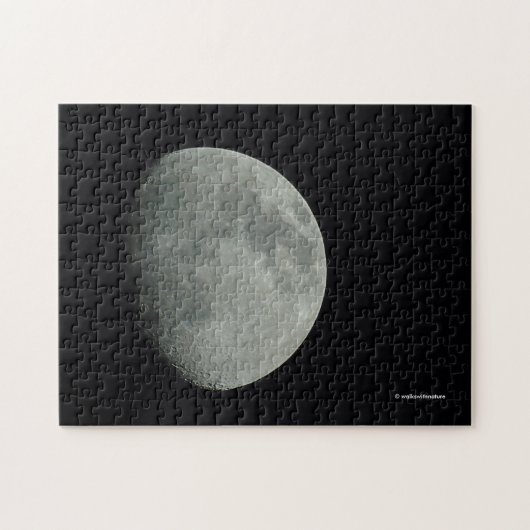 Waxing MidSummer Moon 's nachts Legpuzzel (Horizontaal)