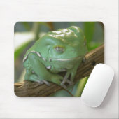 Waxy Tree Frog Muismat (Met muis)