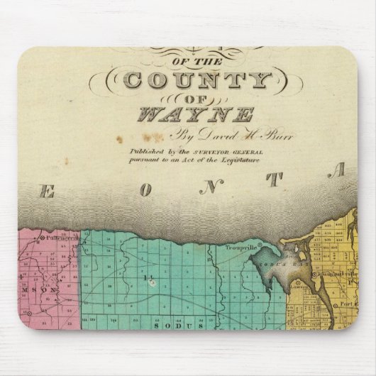 Wayne County Muismat (Voorkant)