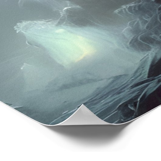 Wayne Manor Poster (Hoek)