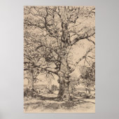 Wayside Inn Oaks in lenteik Poster (Voorkant)