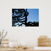 Wayward Oak Poster (Keuken)