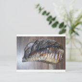 wazig mamth-tand briefkaart (Staand voorkant)