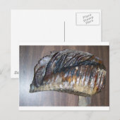 wazig mamth-tand briefkaart (Voorkant / Achterkant)