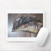 wazig mamth-tand muismat (Met muis)