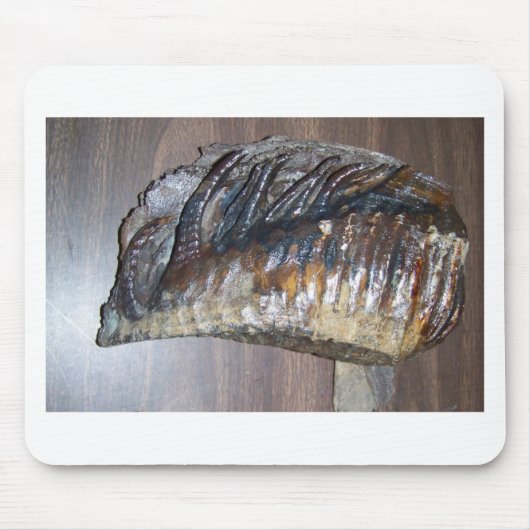 wazig mamth-tand muismat (Voorkant)