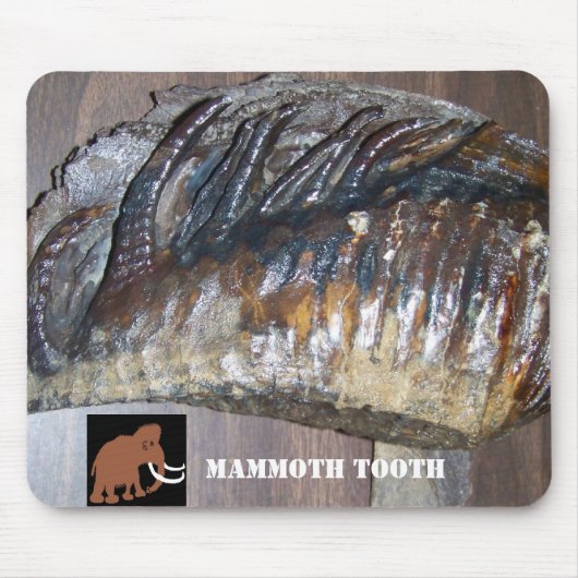 wazig tand, MAMMOTH (2), MAMMOTH TOOTH Muismat (Voorkant)