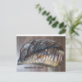 wazig tand, mammothand briefkaart (Staand voorkant)