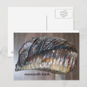 wazig tand, mammothand briefkaart (Voorkant / Achterkant)