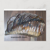 wazig tand, mammothand briefkaart (Voorkant)