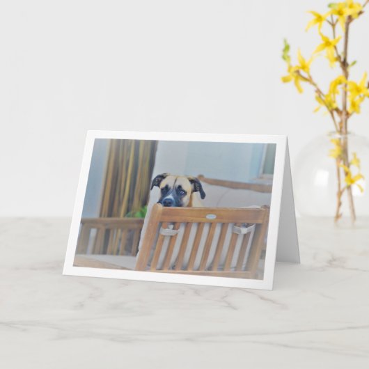 Wazige Hond Portret Kaart (Gele Bloem)