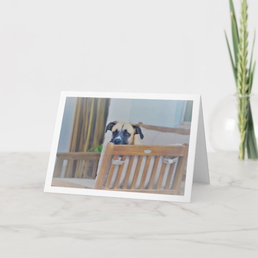 Wazige Hond Portret Kaart (Voorkant)