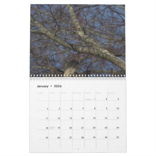 Wazige kalender (Jan 2026)