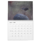 Wazige kalender (Mar 2027)