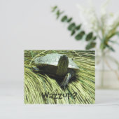 Wazzup-briefkaart Briefkaart (Staand voorkant)