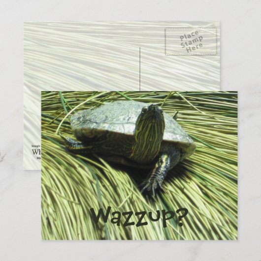 Wazzup-briefkaart Briefkaart (Voorkant / Achterkant)