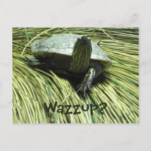 Wazzup-briefkaart Briefkaart