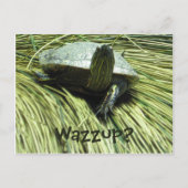 Wazzup-briefkaart Briefkaart (Voorkant)