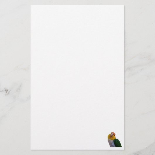 WB Caïque Briefpapier (Voorkant)