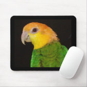 WBC Mousepad Muismat (Met muis)