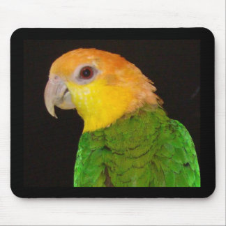 WBC Mousepad Muismat