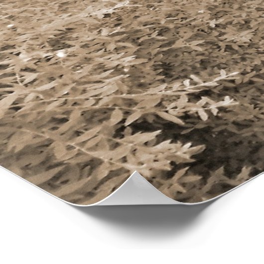 Wbelde Garden Gate Poster (Hoek)