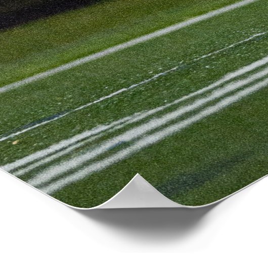 WBVF_2010_01_vs_FHS-75_poster Poster (Hoek)