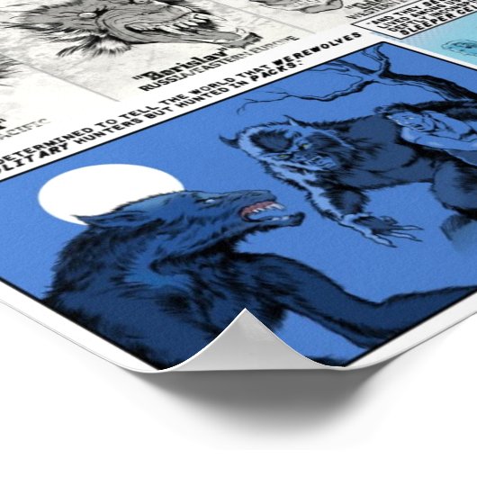 WC-artikelPoster Poster (Hoek)