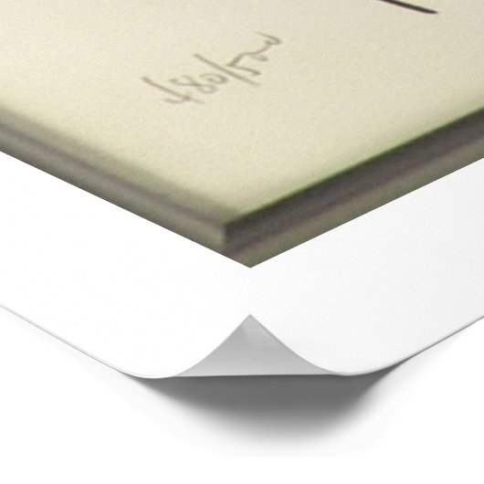 WC Fields pool Poster (Hoek)