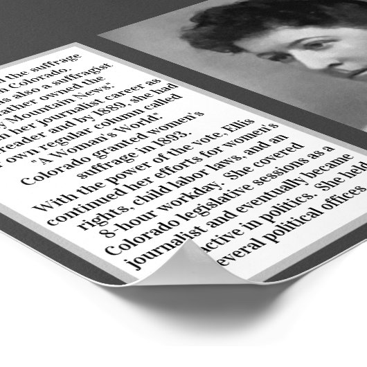 #WCW Meredith Ellis Colorado kiesleider Poster (Hoek)