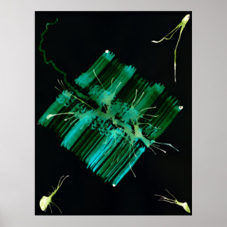 WDV - 059 - Zoeken Poster