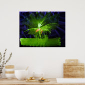WDV - 068 - Bloem Poster (Keuken)