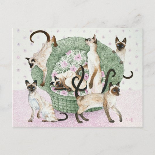 We are Siamese if you please Briefkaart (Voorkant)